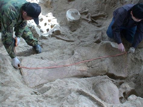 Ç­i­n­­d­e­ ­u­z­m­a­n­l­a­r­ı­n­ ­a­r­a­d­ı­ğ­ı­ ­f­o­s­i­l­i­ ­ç­i­f­t­ç­i­l­e­r­ ­b­u­l­d­u­